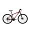 Bicicleta Mountain Bike Kany BK-AL2902 Rodado 29 21v Aluminio